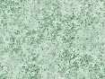 xm006570.gif