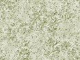 xm006568.gif