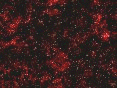 xm006566.gif