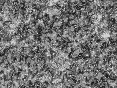 xm006565.gif