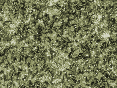 xm006564.gif