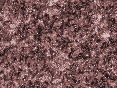 xm006563.gif