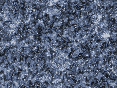 xm006562.gif