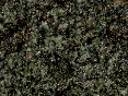 xm006559.gif