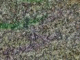 xm006556.gif