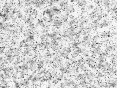 xm006554.gif