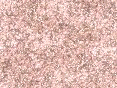 xm006552.gif