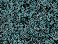 xm006549.gif