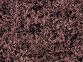 xm006548.gif