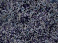 xm006546.gif