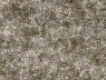 xm006545.gif