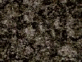 xm006543.gif