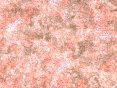 xm006541.gif