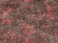 xm006540.gif