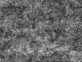 xm006538.gif