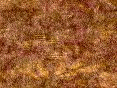 xm006537.gif