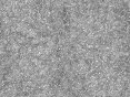 xm006534.gif