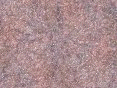 xm006533.gif