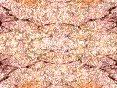 xm006532.gif