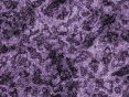 xm006529.gif