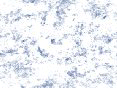 xm006527.gif