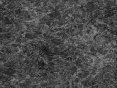 xm006526.gif