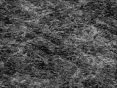 xm006524.gif