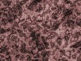 xm006520.gif