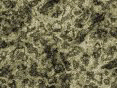 xm006519.gif