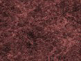 xm006518.gif