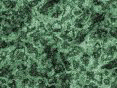 xm006516.gif