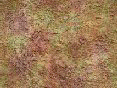 xm006512.gif