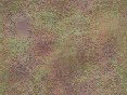 xm006511.gif