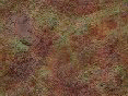 xm006510.gif