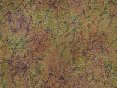 xm006509.gif