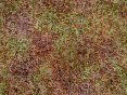 xm006508.gif
