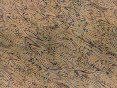 xm006505.gif
