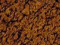 xm006504.gif