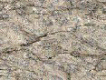 xm006499.gif