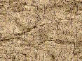xm006498.gif