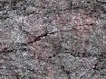 xm006497.gif