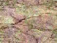 xm006496.gif