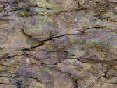 xm006495.gif