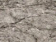 xm006494.gif