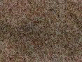 xm006493.gif