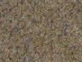 xm006492.gif