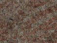 xm006491.gif