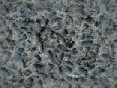 xm006490.gif