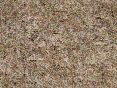 xm006488.gif