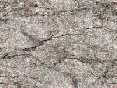 xm006486.gif